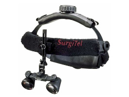 �T�[�W�e���i�g�勾�j