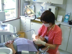 �����e�i���X��