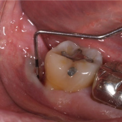 �Đ����ÍH��