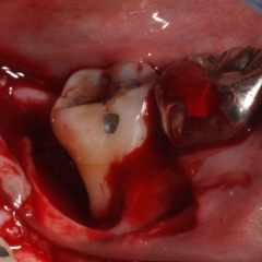 �Đ����ÍH��