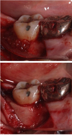 �Đ����ÍH��