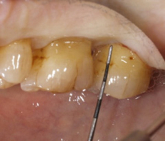 �Đ����ÍH��