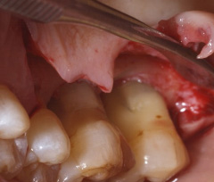 �Đ����ÍH��