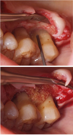 �Đ����ÍH��