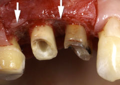 �Đ����ÍH��