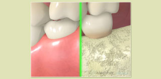 ���N�ȏ��