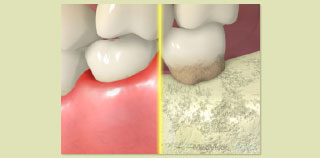 �y�x������