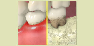 �����x������