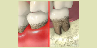 �d�x������