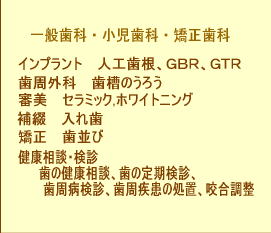 �ݎ��ȁ@��ʎ��� �@�������� �@�������� �@�C���v�����g�@�l�������@�����O�ȁ@�Z���~�b�N�@�z���C�g�j���O�@�R�� 